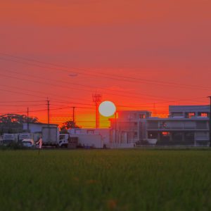 夕陽と飛行機の画像