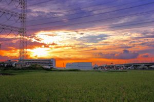 夕陽と鉄塔と田園風景の画像