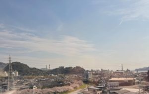 青空の下、川べりに桜咲く。