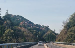 高速道路を走る車