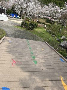 桜と鯉のぼり