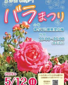 第20回 粕屋町バラまつり のフライヤー。青空にバラの画像