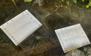 池に浮かべられた水みくじの紙