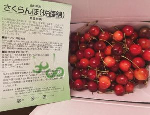 さくらんぼの品種の説明書きとそのさくらんぼ