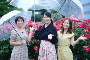 雨のなか女性３人がバラがたくさん咲いてる前で傘をさしポーズ