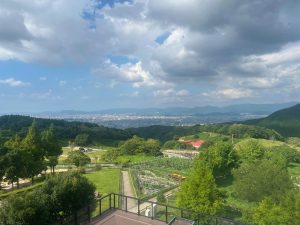 自然の風景