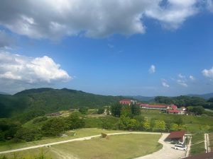 牧場のような自然の風景