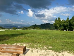 牧場
