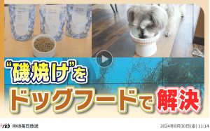 ドッグフード新商品案内の画像