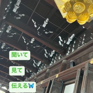 木造建築の天井