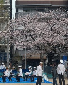桜の木の下、音楽隊