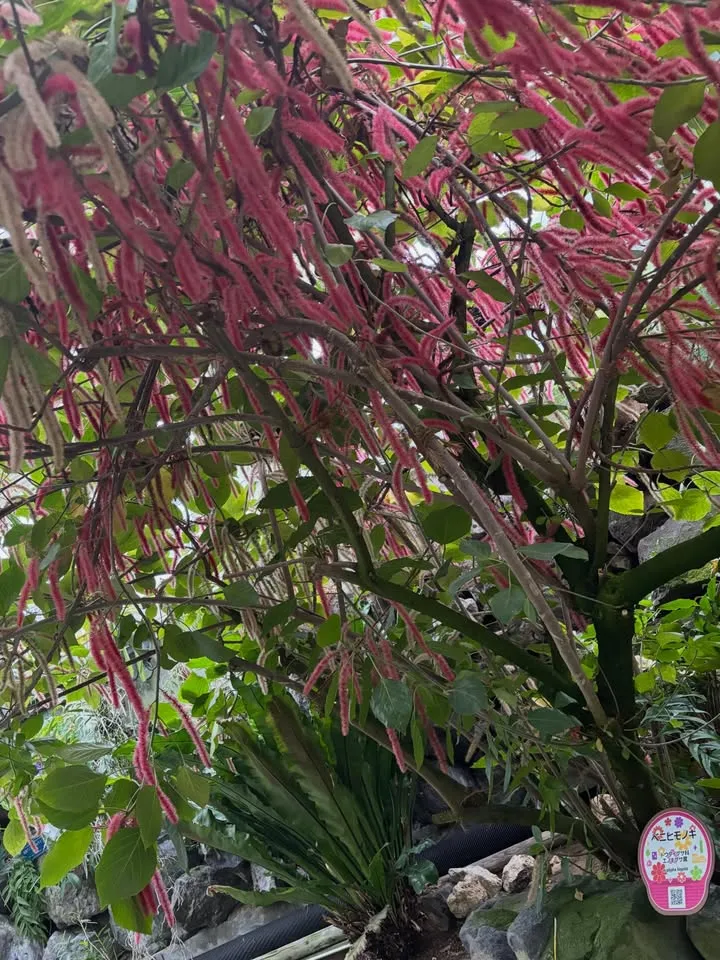 Day2（2枚目）