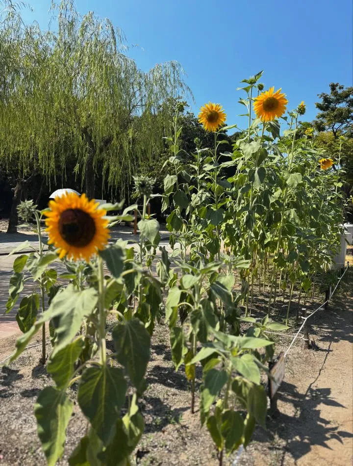 福岡市美術館にて華道家の皆さんとのトークショー（2枚目）