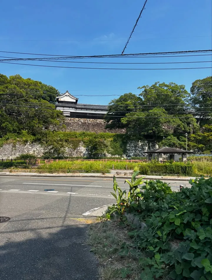 福岡市美術館にて華道家の皆さんとのトークショー（6枚目）